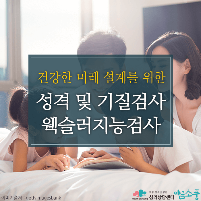 웩슬러지능검사, 성격및기질검사