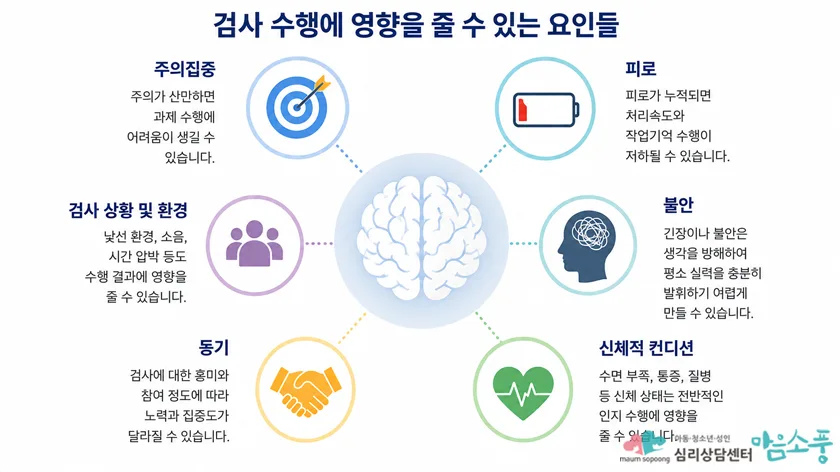 웩슬러지능검사 수행에 영향을 줄 수 있는 요인들