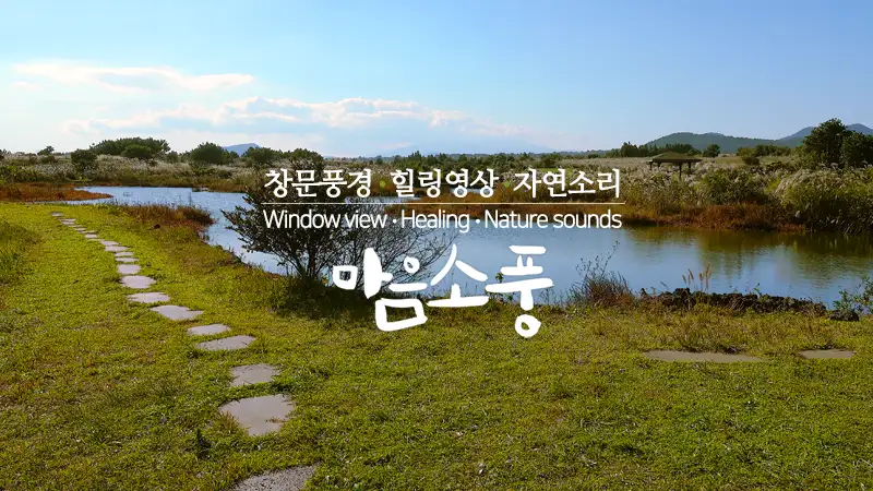2026_jeju_c0067_800.webp