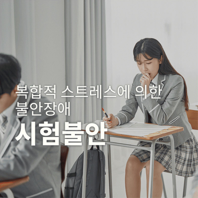 불안장애 (시험불안)-복합적인 스트레스에 의한 불안장애